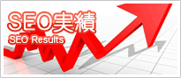 SEO対策実績